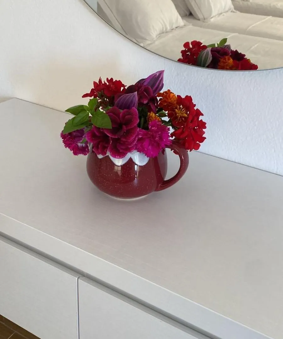 Apartament Sava'S House Berat